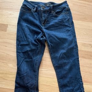Basic Blue Jeans - Ann Taylor